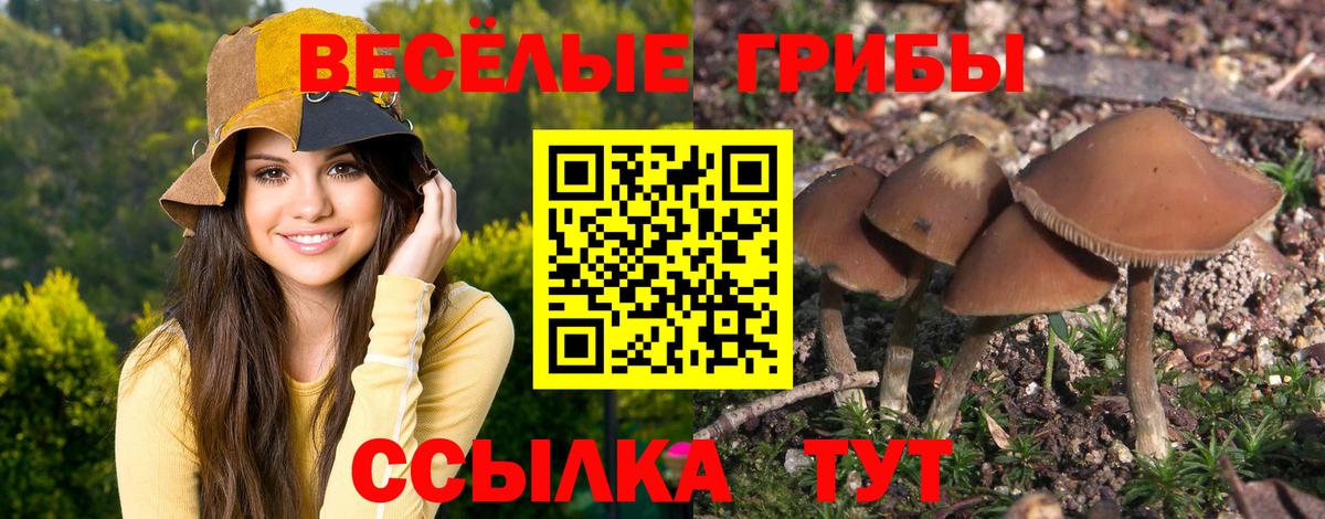 Галлюциногенные грибы MAGIC MUSHROOMS  Вход с VPN  Железноводск 